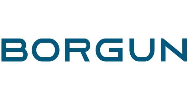 Borgun Adapter